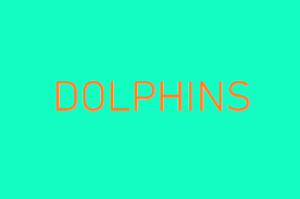 Default Dolphins index image