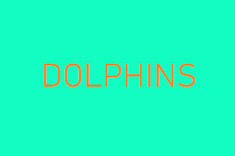 Default Dolphins index image