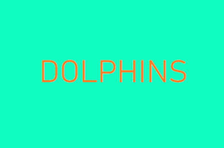 Default Dolphins index image