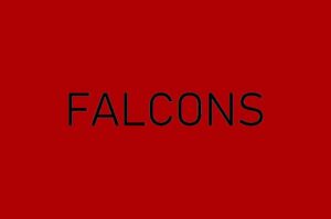 Atlanta Falcons