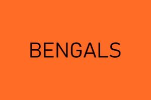 Cincinnati Bengals